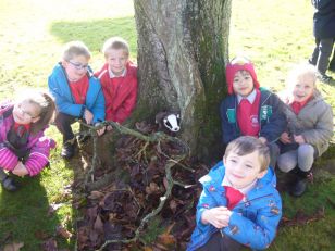 Year 2 help build homes for Percy's friends!