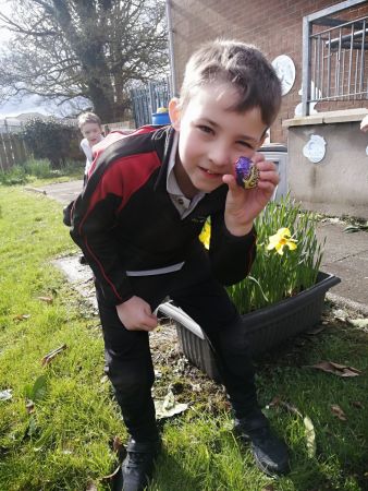 🌼🌷'HOPPY' Easter from Mrs Crosbie's Class! 🥚🌷
